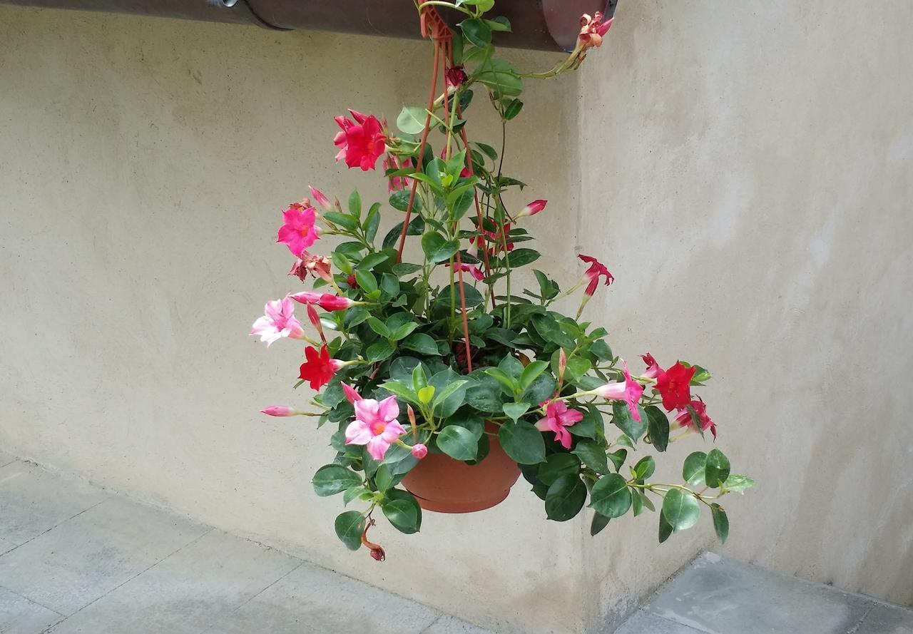 B&B Le Torri Di Firenze Фиезоле Екстериор снимка